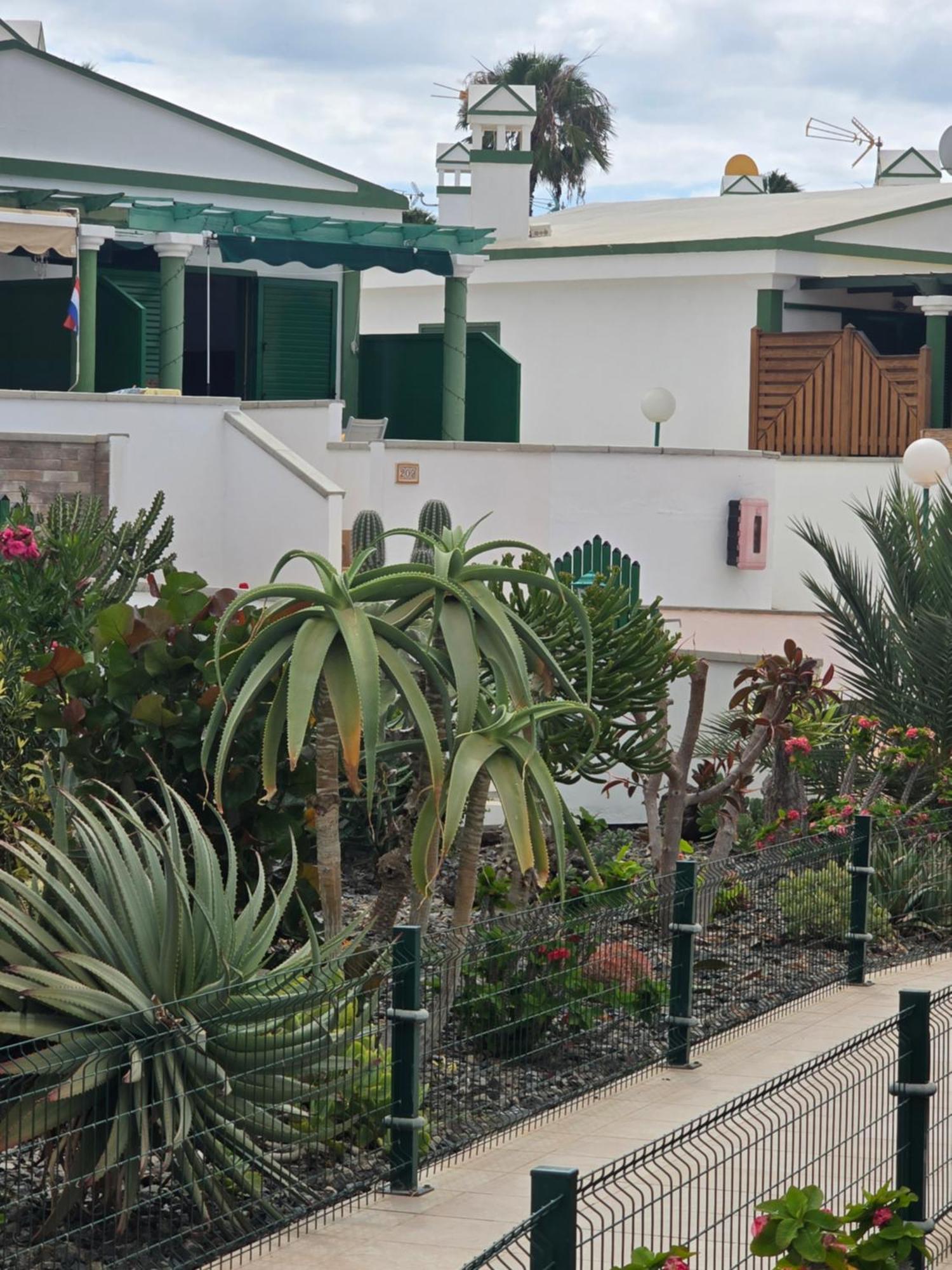 The Sunflower Maspalomas  Kültér fotó